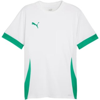 Koszulka męska Puma teamGoal Matchday Jersey biało-zielona 705747 15