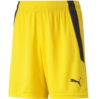 Spodenki Puma teamLIGA Shorts Jr 704931 07