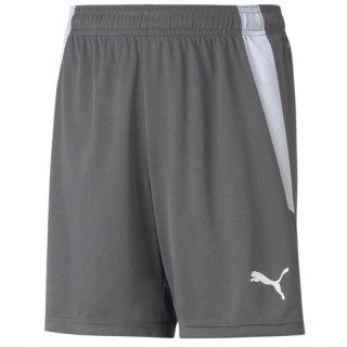 Spodenki Puma teamLIGA Shorts Jr 704931 13