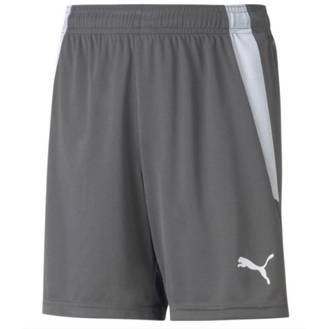 Spodenki Puma teamLIGA Shorts Jr 704931 13