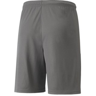 Spodenki Puma teamLIGA Shorts Jr 704931 13