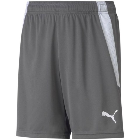 Spodenki Puma teamLIGA Shorts Jr 704931 13
