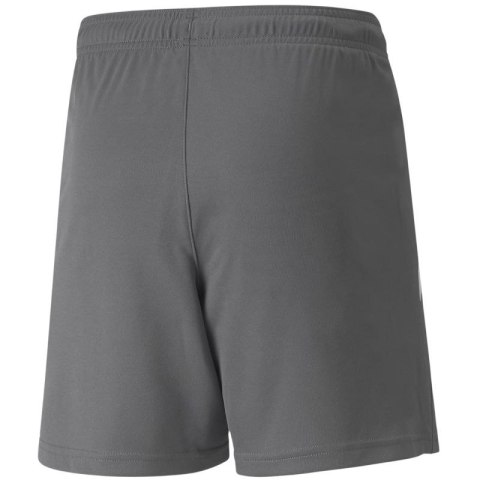 Spodenki Puma teamLIGA Shorts Jr 704931 13