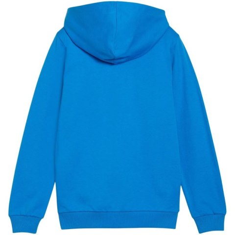 Bluza Puma teamGoal Casuals Hooded Jr 658596 02
