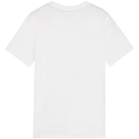Koszulka Puma Team Goal Casuals Tee Jr 658616 04