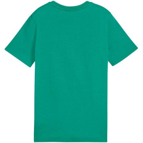 Koszulka Puma Team Goal Casuals Tee Jr 658616 05