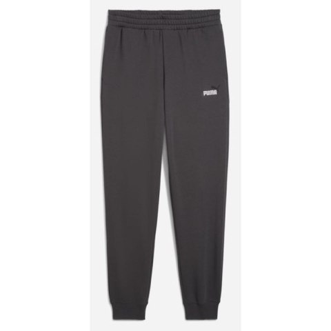 Spodnie Puma ESS 2 Color No.1 Logo M 684713 44