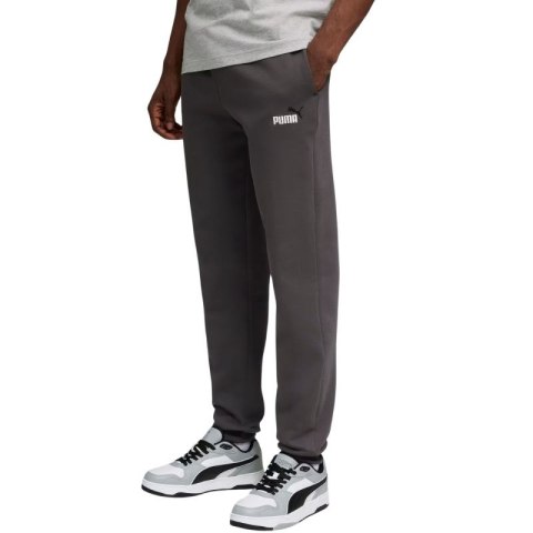 Spodnie Puma ESS 2 Color No.1 Logo M 684713 44