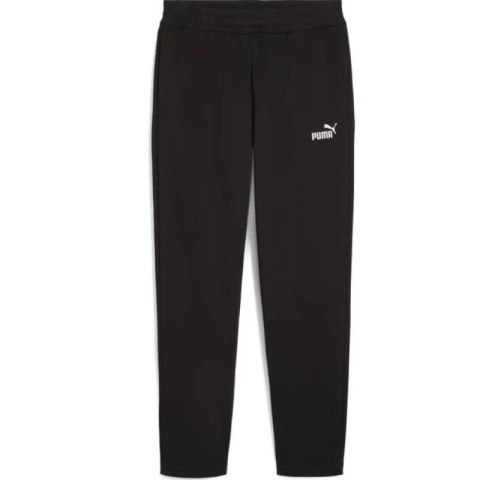 Spodnie Puma ESS no.1 Logo Sweatpants FL M 682606 01