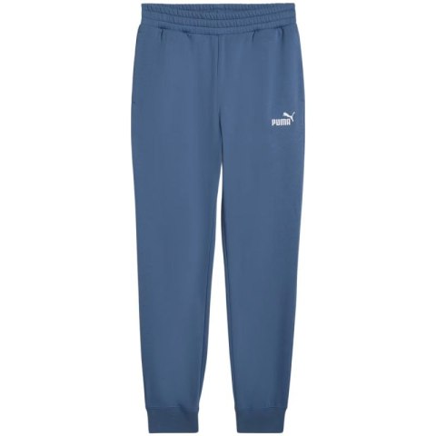 Spodnie Puma ESS no.1 Logo Sweatpants FL M 682607 80