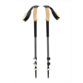 Kije trekkingowe Black Diamond TRAIL CORK TREKKING POLES - laurel green
