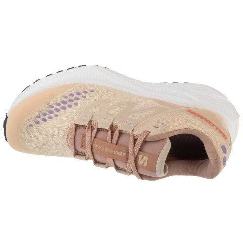 Salomon Aero Glide 3 GRVL W L47812500 Beżowe 37 1/3