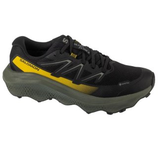 Salomon Ultra Flow 2 GTX L47883200 Czarne 41 1/3