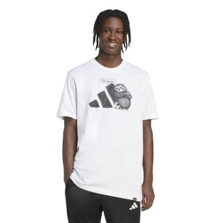 Koszulka adidas Yay Sports Graphic M JL9256