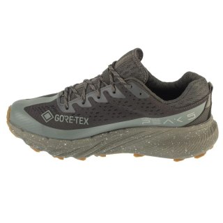 Merrell Agility Peak 5 Gore-Tex J068701 Szare 41