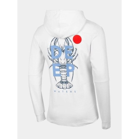 Bluza męska Outhorn HOL22-BLM610