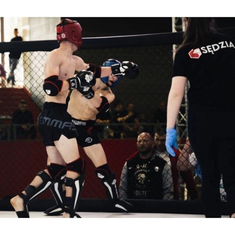 Rękawice bokserskie 10oz - Classic White - Origin Series