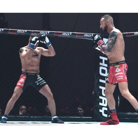 Rękawice bokserskie 10oz - Classic White - Origin Series