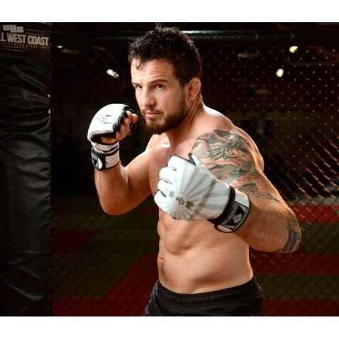 Rękawice MMAM - Japan - Valor Series