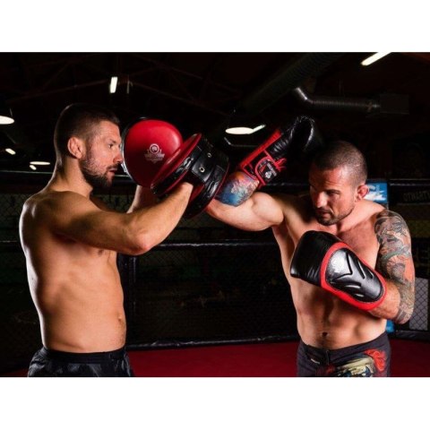 Rękawice bokserskie 10oz - Blaze Red - Legacy Series