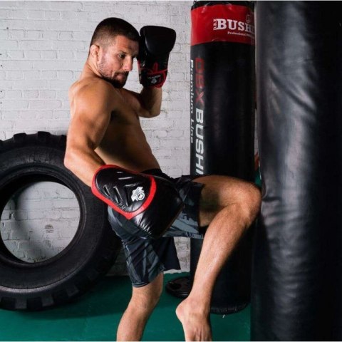 Rękawice bokserskie 10oz - Blaze Red - Legacy Series