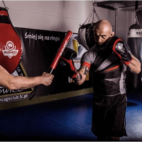 Rękawice bokserskie 10oz - Blaze Red - Legacy Series