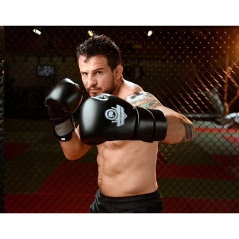 Rękawice bokserskie 10oz - Eclipse - Origin Series
