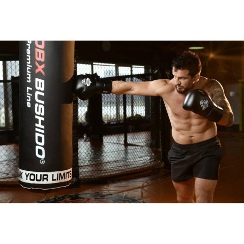 Rękawice bokserskie 10oz - Eclipse - Origin Series