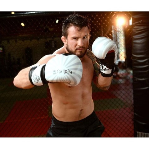 Rękawice bokserskie 10oz - Japan - Valor Series