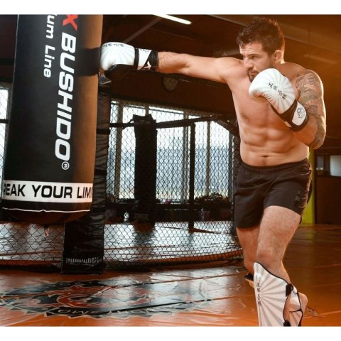 Rękawice bokserskie 10oz - Japan - Valor Series