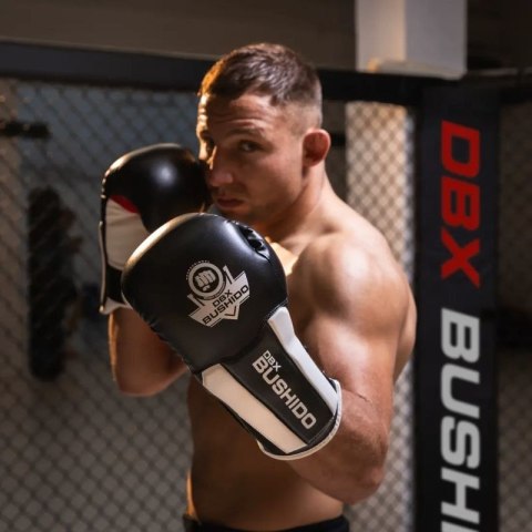 Rękawice bokserskie 10oz - Phantom White - Valor Series