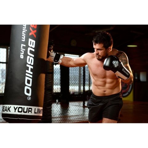 Rękawice bokserskie 10oz - Phantom White - Valor Series