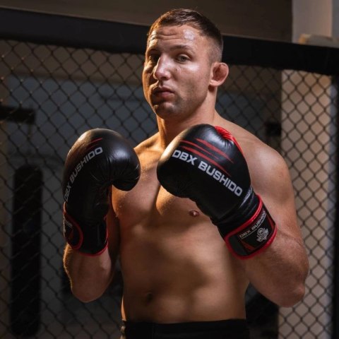 Rękawice bokserskie 14oz - Ninja - Legacy Series