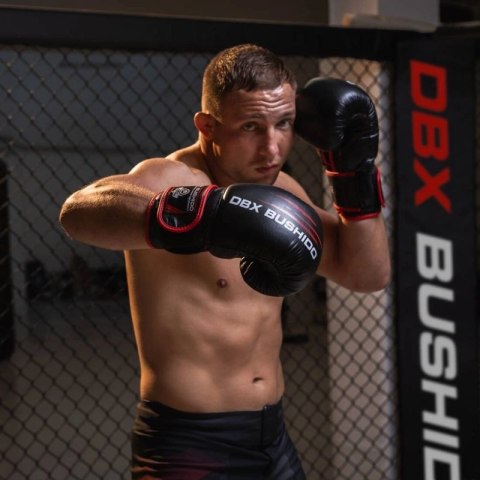 Rękawice bokserskie 14oz - Ninja - Legacy Series