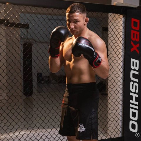 Rękawice bokserskie 14oz - Ninja - Legacy Series