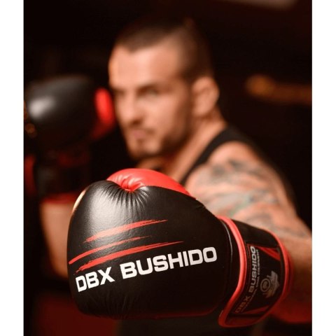 Rękawice bokserskie 14oz - Ninja - Legacy Series