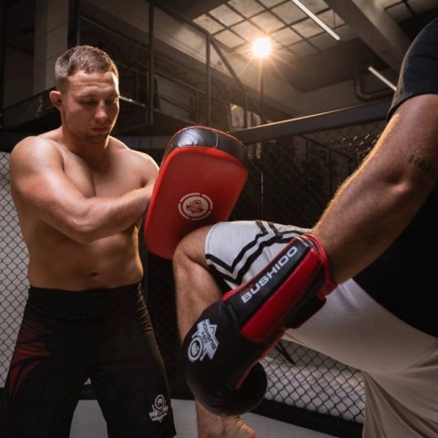 Tarcza treningowa PAO ze skóry naturalnej