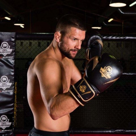 Rękawice bokserskie 10oz - Aureos - Valor Series