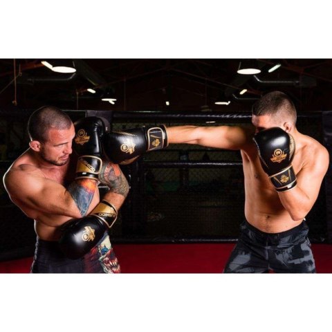 Rękawice bokserskie 10oz - Aureos - Valor Series