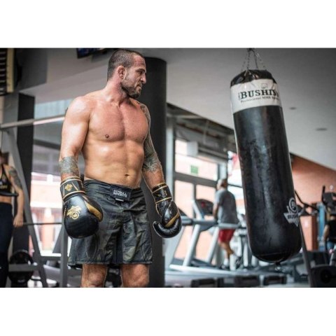 Rękawice bokserskie 10oz - Aureos - Valor Series