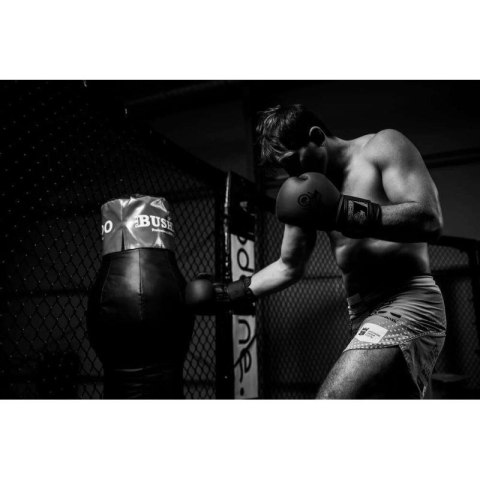 Rękawice bokserskie 10oz - Black Master - Valor Series