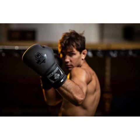 Rękawice bokserskie 10oz - Black Master - Valor Series