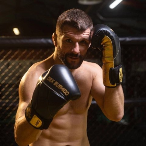 Rękawice bokserskie 10oz - Hammer Gold - Legacy Series