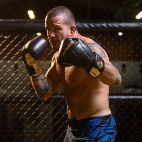 Rękawice bokserskie 10oz - Hammer Gold - Legacy Series