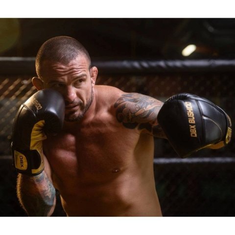 Rękawice bokserskie 10oz - Hammer Gold - Legacy Series