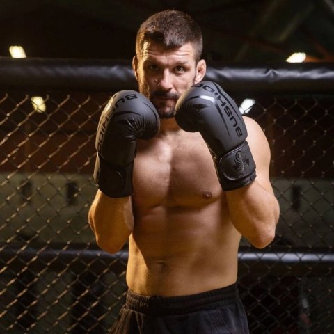 Rękawice bokserskie 10oz - Raptor - Origin Series