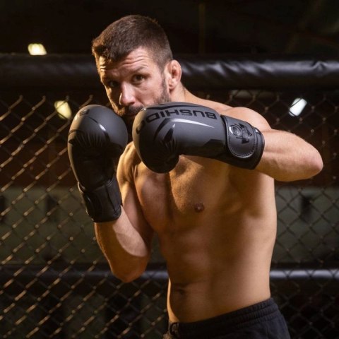 Rękawice bokserskie 10oz - Raptor - Origin Series