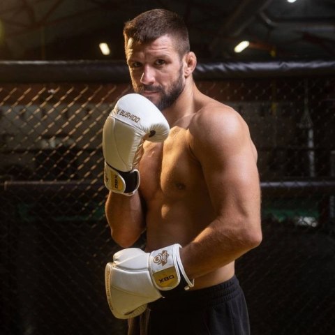 Rękawice bokserskie 8oz - Hammer White - Legacy Series