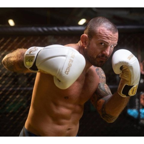 Rękawice bokserskie 8oz - Hammer White - Legacy Series