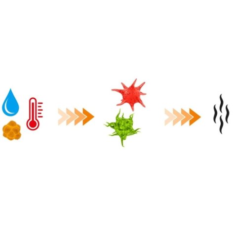 Odświeżacz, osuszacz do sprzętu sportowego | DBX Dryer 2.0